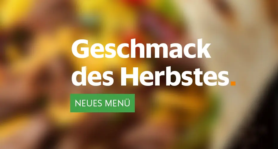 Zug und Busfahrkarten