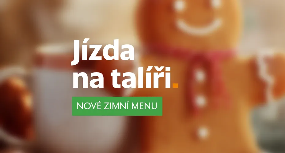 Vlakové a autobusové jízdenky