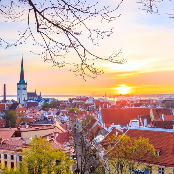 Точка зору Кохтуоци