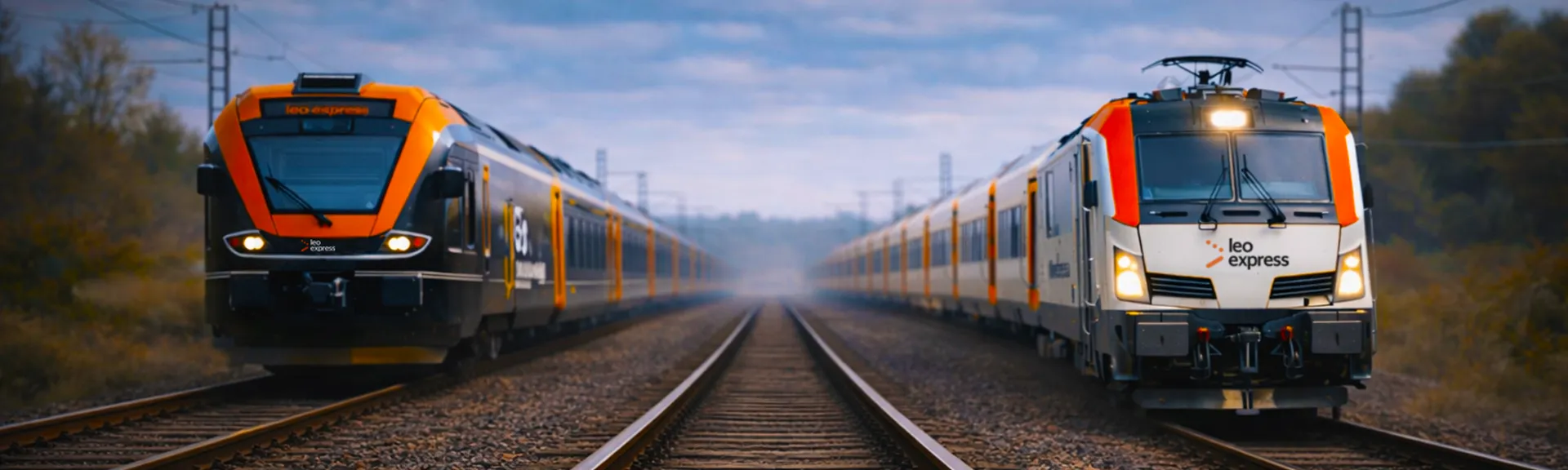 fullwidth_talgo_flirt.webp