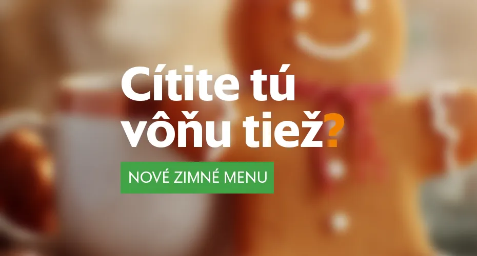 Vlakové a autobusové lístky