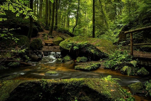 Nature and drought